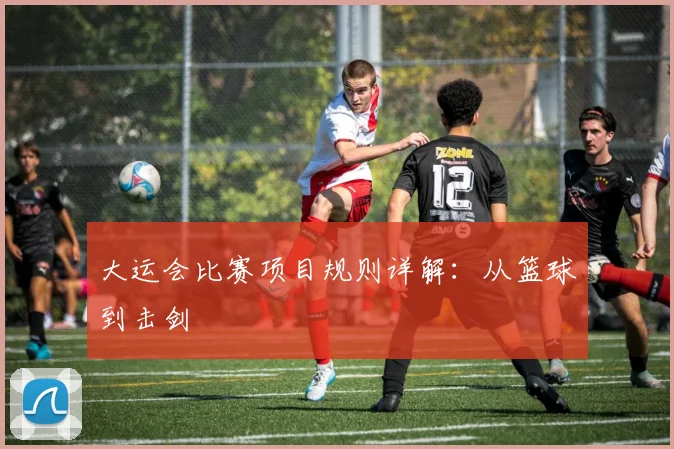 大运会比赛项目规则详解：从篮球到击剑